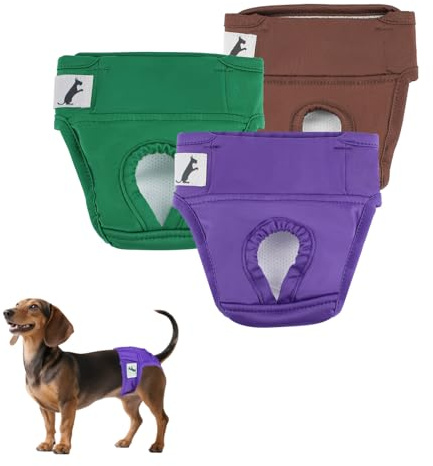 NAMSAN Hundewindeln 3 Stück Läufigkeitshose für Hündinnen Hochsaugfähige Perioden Schlüpfer für Hunde Schutzhöschen für Urin Inkontinenz/Untrainierte Welpen, M