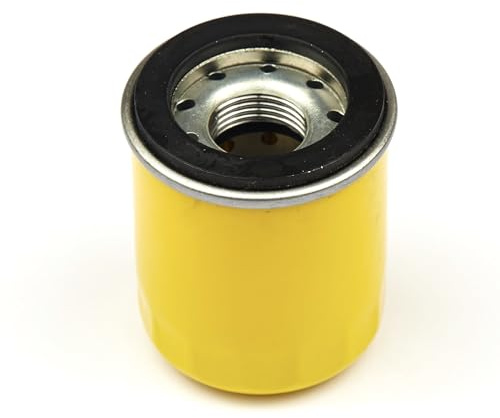 Briggs & Stratton 795990 Filtre à huile