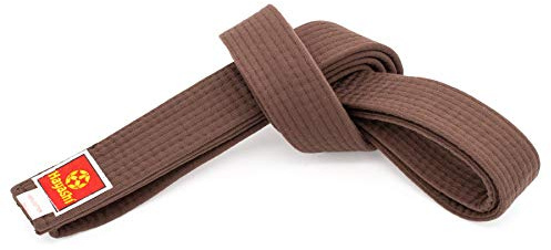 Hayashi Budogürtel - braun, Gr. 300 cm