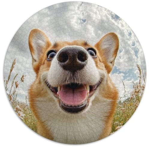 Corgi Rund Puzzles 1000 Teile Fur Erwachsene Und Kinder Tieres Haustiers Cute Geschicklichkeitsspiel Geschenk Fordernd Kleinkinder Groß 1000pcs (67.5x67.5cm)