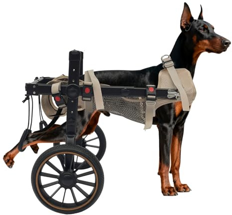 GIDRLL Verstellbarer Hunderollstuhl für Hinterbeine, 2-Rad Aluminium-Rollstuhl für Mittlerer und Klein Hunde (≤65 kg) für verletzte oder behinderte Hunde von Rehabilitation & Mobilität