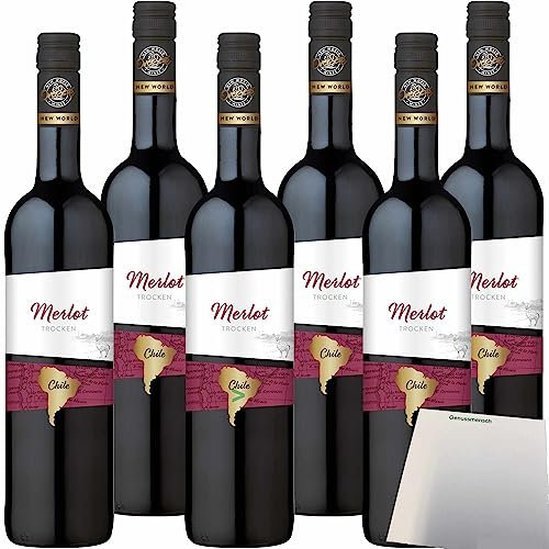 OverSeas Chile Merlot Rotwein trocken 12,5% vol. 6er Pack (6x0,75 Liter Flasche) + usy Block
