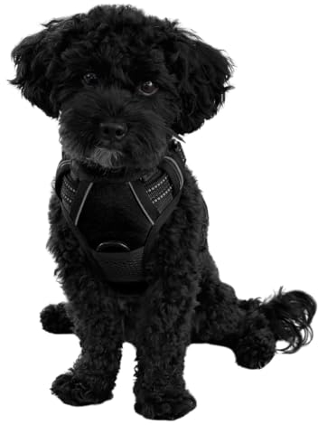 Hundegeschirr für große Hunde reflektierend aus Nylon - Anti Zug Geschirr ideal für Trainingseinheiten mit Welpen - atmungsaktive mesh Polsterung (Schwarz, Gr. L)