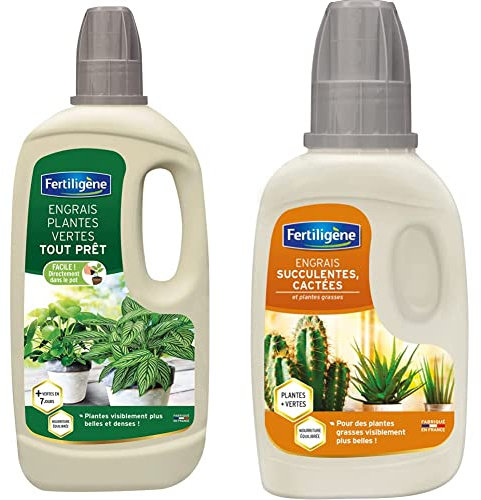 Fertiligène Engrais Plantes Vertes Tout Prêt, 1L & Engrais Cactus et Succulentes, 250 ML