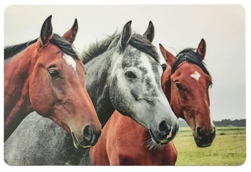 Schreibtischunterlage drei Pferde (-Köpfe) Ponys 40 x 60 cm abwischbar