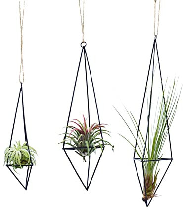 Panonw 3 Packungen Eisen hängende Luftpflanzenhalter, moderner geometrischer Metall-Pflanzgefäß mit Seil zum Aufhängen, Tillandsia-Aufhänger, Präsentationsständer für Zuhause, Büro, Hochzeit, Party,
