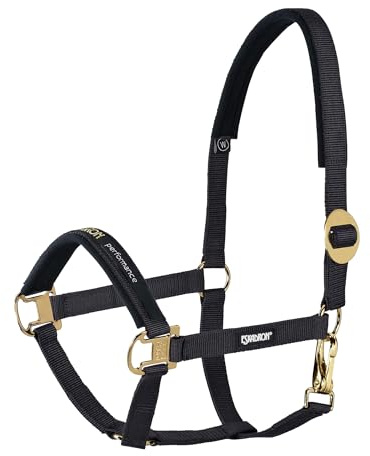 Halfter SLIDING BUCKLE CORE