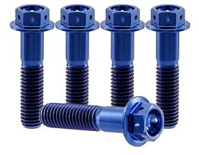 RISON-Titanium 5 Stück Titan Flanschkopf Sechskantschraube M10x70mm, Teilung 1.25mm, Flansch Schrauben Außensechskan Schrauben Strukturschrauben Titanschrauben für Sportmotorräder und Karts