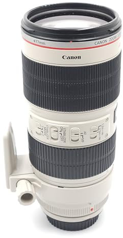 Canon Obiettivo, EF 70-200 mm f/2.8L IS II USM [Versione EU] Nero