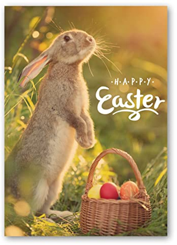 Easter Card. Bunny and Basket Design with Matching Envelope. 210x148mm. Ecofriendly. Blank Inside. Printed and Packed in UK.