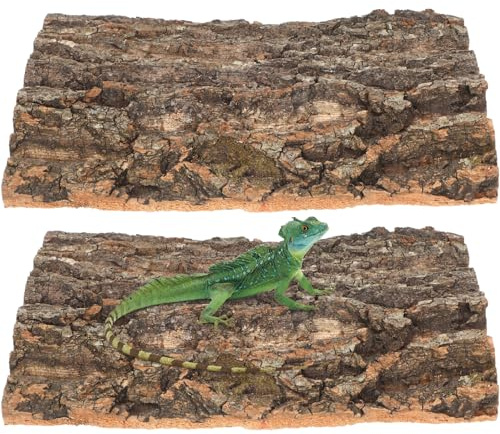 NUOBESTY 2 Stück Reptilien Kletterplattform aus Natürlicher Champagnerrinde Robuste Korkrinde Terrarium Dekoration Kratzfeste Reptilienbark für Gecko Echsen und Schlangen Terrarien