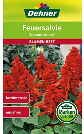 Dehner Blumen-Saatg)ut, Feuersalvie Johannisfeuer, 5er Pack (5 x 0.5 g)