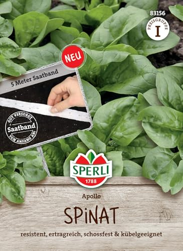 Sperli Spinatsamen Apollo F1 83156, Saatband | Schossfest, Kübelgeeignet, schnellwachsend, für Balkon & Kübel
