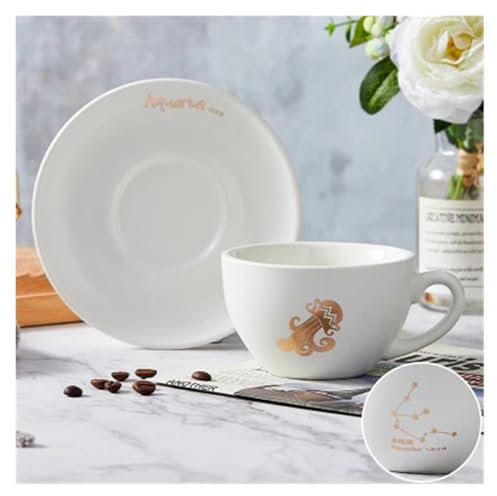 WHYTQ Vida hogareña Juego de Tazas de café Europeas de 12 Constelaciones, Tazas de café con Leche Mate Creativas, Tazas de té de cerámica for Regalo for Amiga, 300ml Taza de Ceramica(Aquarius 2)