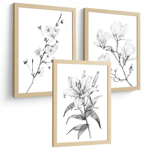 Nacnic Juego De 3 Cuadros De Flores Dibujo. Laminas Decorativas Pared A Lapiz. Poster De Pared Botanico Minimalista. Cuadros Noridco Para Salón Y Dormitorio. Tamaño A4 Sin Marcos