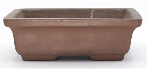 Maceta para Bonsái Colección de Colores Surtidos Perfecta para tu Bonsái - 15cm de largo y 10cm de ancho