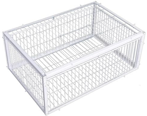 Pineeseatile Trampa de Paloma con Cuatro entradas de Acceso unidireccional Trampa para pájaros 16x12x10 Pulgadas de Paloma de Paloma con Jaula de Paloma de Trajes