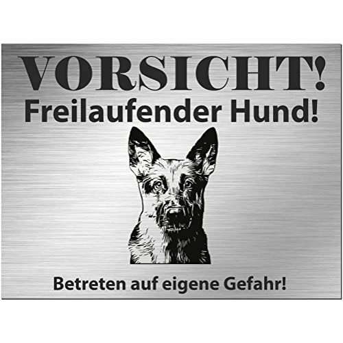 Indigos UG - Schild Schäferhund - bedruckt - Vorsicht Freilaufender Hund - Aluverbundplatte Edelstahl Look - 40x30 cm - Spruch - Deko Geschenkidee für Ihren Hund - Zaun - Türschild - Hinweisschild