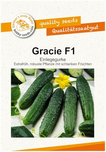 Gurkensamen Gracie F1 Einlegegurke Portion
