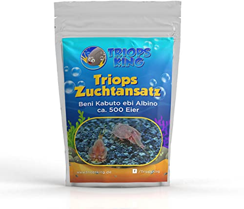 Triops King Triops Beni Kabuto EBI Albino Urzeitkrebse Zuchtansatz mit Urzeitkrebs-Eiern/Zysten Deutschland - Züchte Deine eigenen Urzeitkrebse bei dir zu Hause im Aquarium (500 Eier)