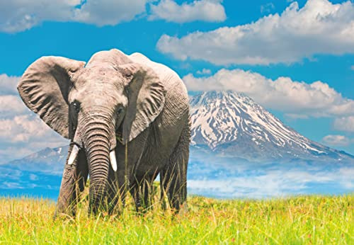 Ravensburger - Puzzle 300 Piezas Elefante | Puzzle Adultos | para Toda La Familia | 49 X 36 Cm | Rompecabezas Adultos | Regalo Navidad