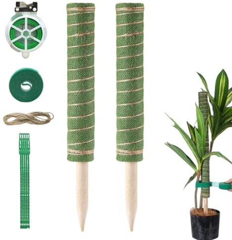 Sostegno per Monstera con Fascette da Giardinaggio