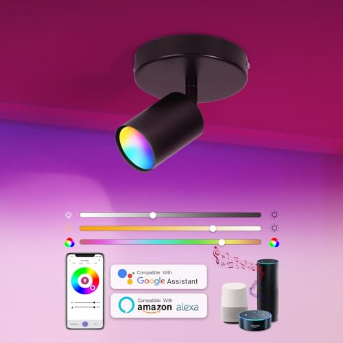 Vloitgol Dimmable Flush Mount Ceiling Spotlight, Adjustable Up Lights Indoor Ceiling Spotlight, 16 Colors Change LED Spot Lights Indoor Bright Accent Fixture for Living Room Bedroom