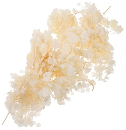 NOLITOY di Ortensia Preservati Naturali Secchi per Decorazioni Matrimonio Centrotavola e Composizioni Floreali Confetti Floreali per Feste e Artigianato Bouquet