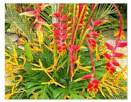 CafePress Bright Heliconias, Lobster Claw Plant Small Puzzle, 252 pcs.