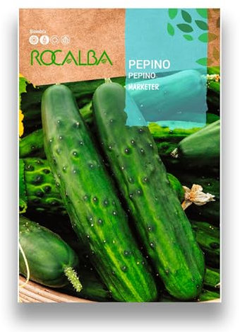 Semillas Pepino Variedad Marketer | Sobre 10 GR | Semillas Profesionales para cultivar tus Pepinos en tu huerta | Rocalba
