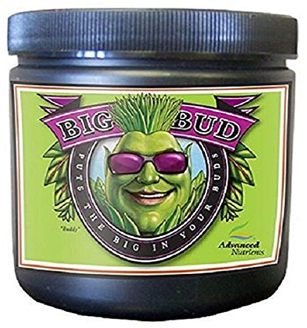 Avanzado nutrientes Big Bud Fertilizantes
