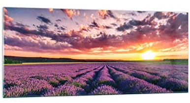 Wandbilder Dekoration Wohnzimmer Lavendel Berge Feld Panorama Bilder auf Glas 120x50cm Glasbild Schlafzimmer Küche Wand Kunstdruck Art Groß Wanddeko Bild im Glas Modern Wall Decor GAB120x50-3816