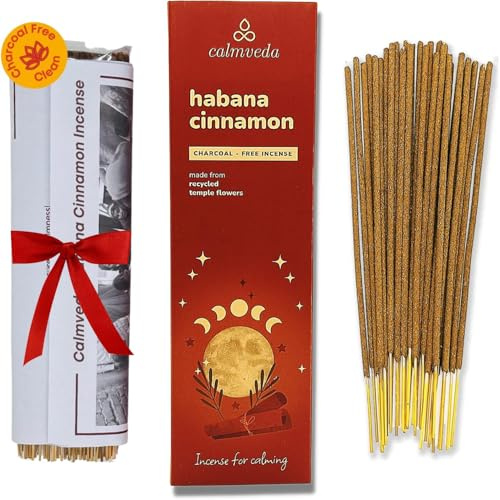 Incenso Cannella Havana Incenso Natalizio - (80 incensi profumati) Incenso Bastoncini NO carbone, realizzato con fiori riciclati | Utilizzato come Incenso di Natale dall'aroma dolce e speziato
