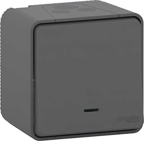 Schneider Electric MUR35024 Va et Vient mureva lumineux, 250 V, Gris