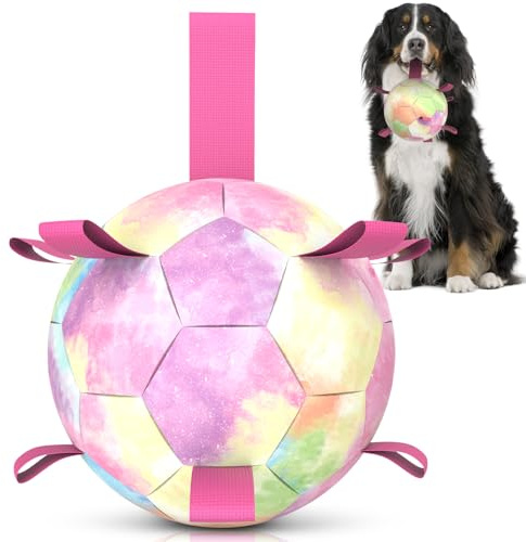 HETOO Hundboll hundleksak boll med rep hundfotboll (9 tum rosa) | Interaktiv hundboll för turing, hållbar hög hopp, flytande boll för hundar, födelsedagspresenter, inomhus, utomhus