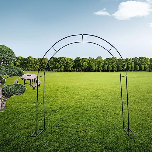 Arche de rose en métal pour jardin - Support de plantes grimpantes en fer forgé blanc - Treillage décoratif pour roses - Taille : W120 - Décoration de jardin extérieure