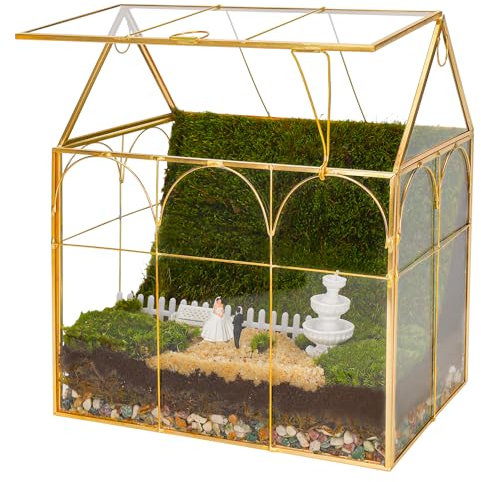 REDHUGO Grand terrarium en verre fait à la main avec couvercle, pot géométrique en verre pour plantes grasses et plantes grasses pour décoration de maison, jardin, bureau, mini serre intérieure, forme