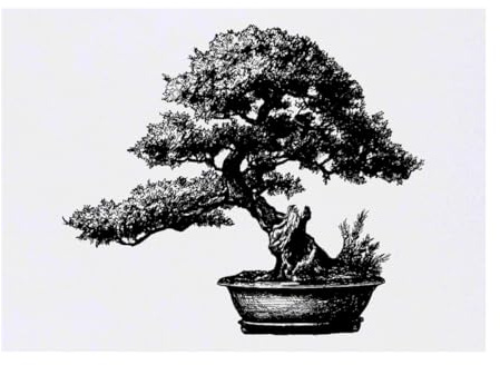 Azeeda 'Bonsai Tree in Pot' Temporary Tattoo - A6 (TO00103991) | Water Resistant Skin Safe Transfer for Parties, Costumes and Gifts