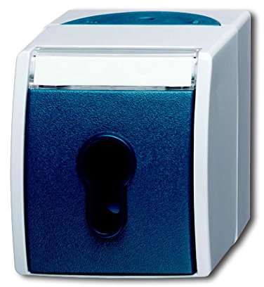 Busch-Jaeger 2733 SLW-53 Schlüsselschalter Ausschaltung, 1-polig (Thermoplast) Grau Ocean® (IP 44) 2CKA001101A0917