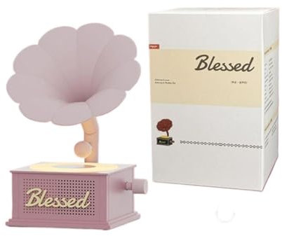 Mini altoparlanti Bluetooth ricarica portatile stile retrò grammofono stereo Record Sound Box Player W5l3