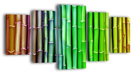 Leinwandbild Bunter Bambus LW173 Wandbild, Bild auf Leinwand, 5 Teile, 210 x 100 cm, Kunstdruck Canvas, XXL Bilder, Keilrahmenbild, fertig aufgespannt, Bild, Holzrahmen, Natur, Asien, Wald
