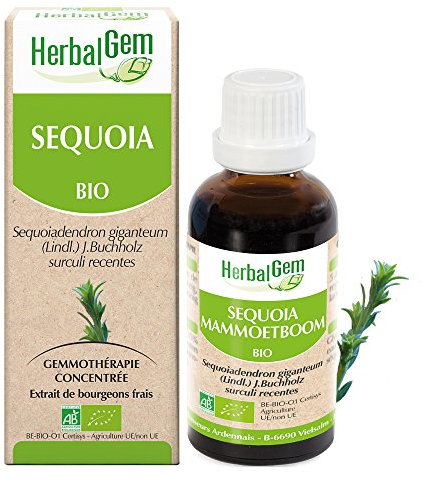 HERBALGEM - Macérât-Mère - Séquoia Bio - Complément Alimentaire Gemmothérapie Concentrée - Extrait De Bourgeon Frais - Vegan - 30 ml