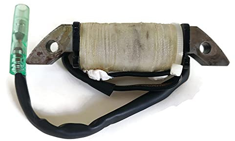 Bootsmotor 6E7-85520-70 6G0 Ladespule ersetzt Yamaha Parsun Außenborder 5HP bis 15HP 48-55HP Modell vor 1995
