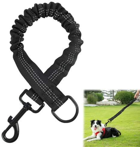 Shock Absorber for Dog Leash - Elastic Dog Lead with Nylon Short Lead, Anti Chew Dog Tie Down Cable, Bungee Dog Lead, Cushioning for Medium Dogs - Durable Design with Reflective Stitching for Safety