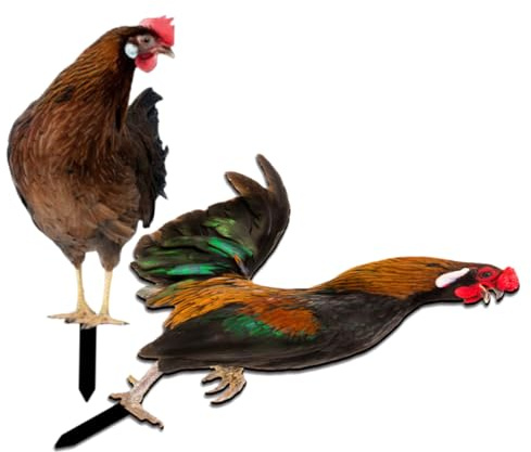 CLISPEED 2pcs Acrylic Chicken Garden Stakes Double-sided Yard Art Decorative Outdoor Lawn Ornaments Uv Resistant Vivid Chicken Insert Signs for Garden Decor