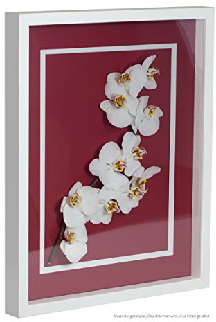 Bildershop-24 Objektrahmen FrameBox VARIO36 Weiß (matt) 42x59,4cm (DIN A2) zum Einrahmen von Trikots, Blumen, Passepartouts etc.