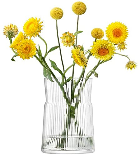 LSA International Gio Line Lantern/Vase H18.5cm Clear| 1 Unit | Mouthblown & Handmade Glass | GI30