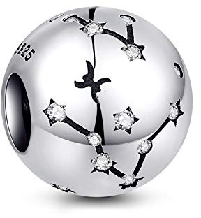 NINGAN die Zwillinge 12 Sternzeichen Geburtstag Anhänger – 925 Sterlingsilber Anhänger für Armband & Halskette – Ideale Geburtsgeschenke für Frauen & Freundinnen