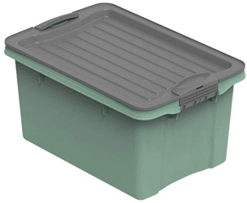 Rotho Compact Scatola di Conservazione con Coperchio, Plastica (PP Riciclato) senza BPA, Verde, A5/4.5 L, 27.0 x 18.5 x 15.0 cm