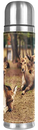 Isolierte Wasserflasche Edelstahl-Wasserflaschen Metall-Wasserflasche,Schönes Tier Hirsch